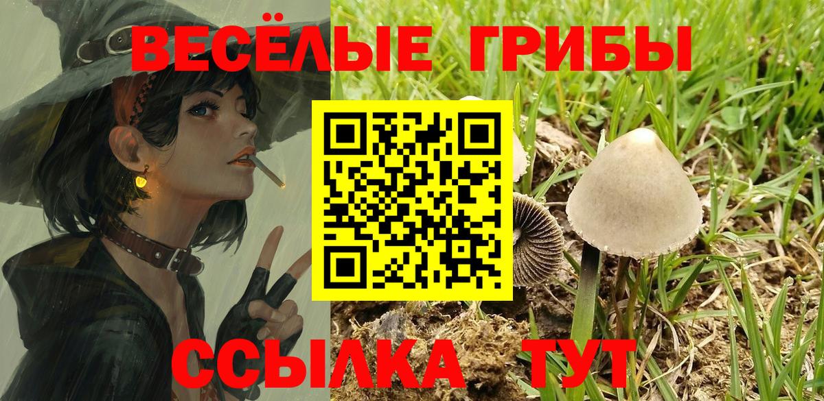 Краснодар  Галлюциногенные грибы мицелий  Вход с VPN 